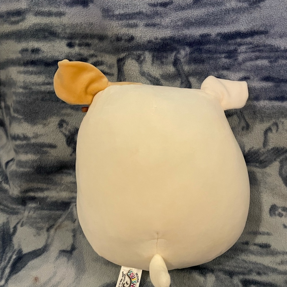 Brock the dog Squishmallow Bundle💕 - Picture 3 of 4